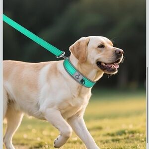 Heavy Duty Dog Collar with Metal Buckle - Green Small 12-15” S